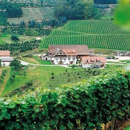 Weingut Alfred Huber Apartment Durbach Exterior foto