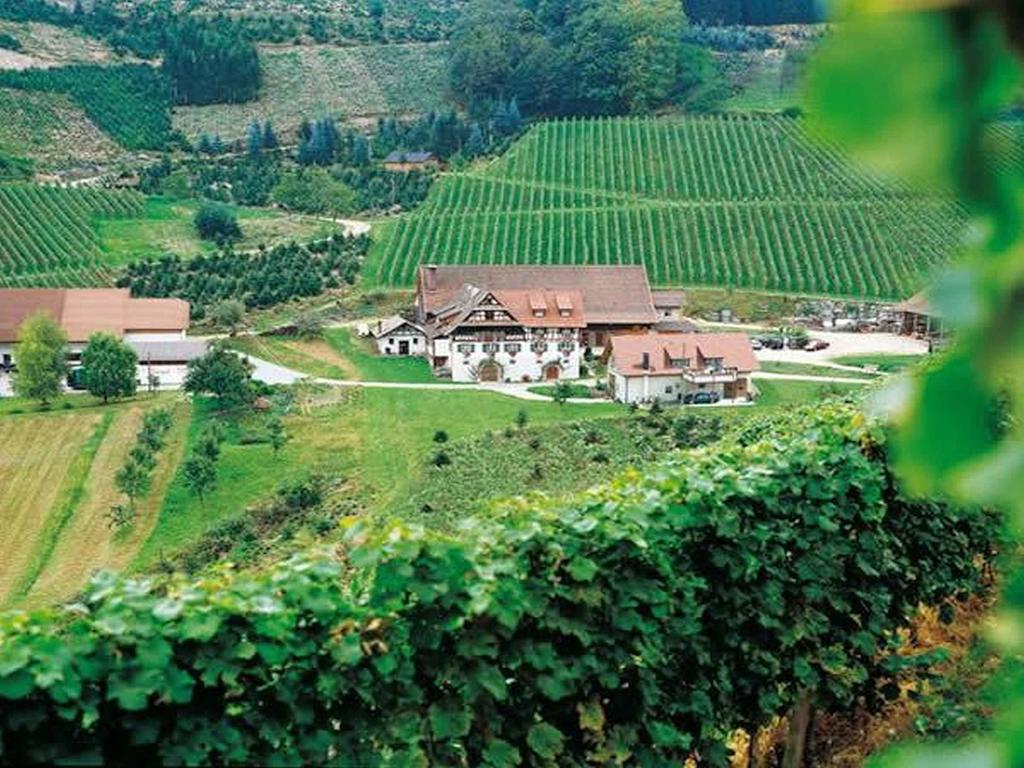 Weingut Alfred Huber Apartment Durbach Exterior foto