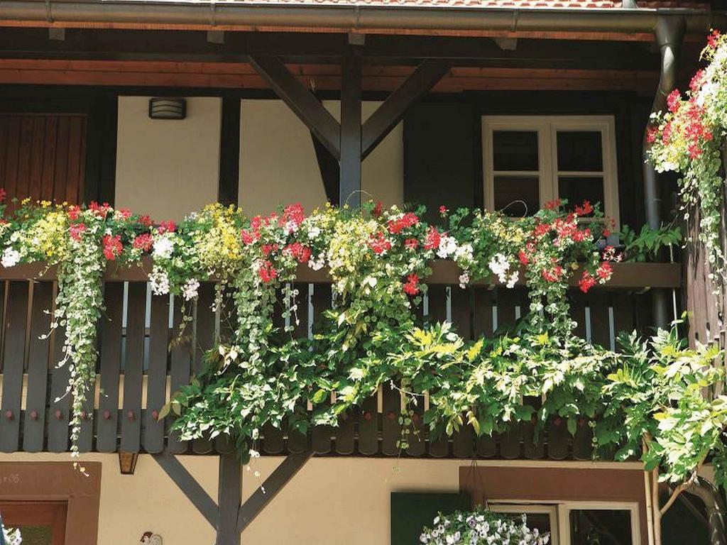 Weingut Alfred Huber Apartment Durbach Exterior foto